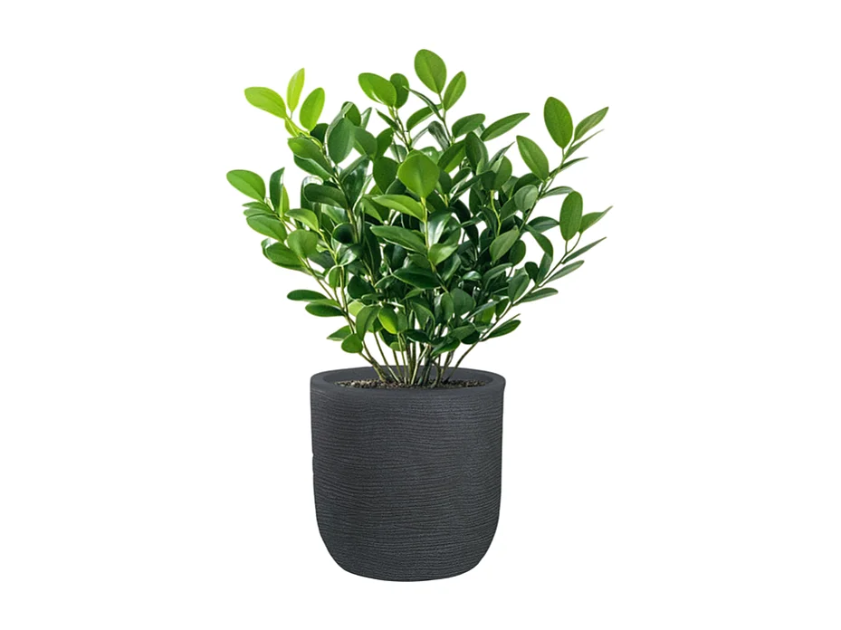 Vase cylindrique en résine Raffaello Grigio 35x34cm pour plantes d'intérieur et d'extérieur