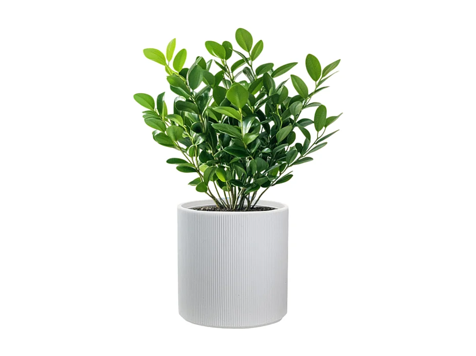 Vase cylindrique rond en résine pour plantes d'intérieur et d'extérieur, 36x35 cm, modèle Modigliani blanc