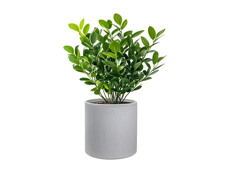 Vase cylindrique rond en résine pour plantes d'intérieur et d'extérieur, Modigliani Beige, 36x35 cm