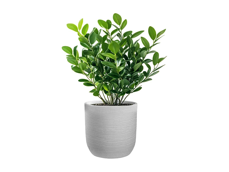 Vase cylindrique en résine Raffaello Bianco 35x34cm pour plantes d'intérieur et d'extérieur
