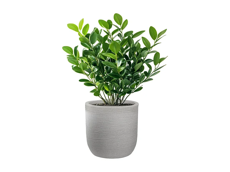 Vase cylindrique en résine beige Raffaello 35x34cm pour plantes d'intérieur et d'extérieur