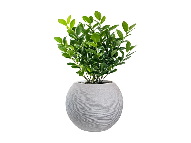 Vase sphérique rond en résine beige Botticelli pour plantes d'intérieur et d'extérieur, 40x33 cm