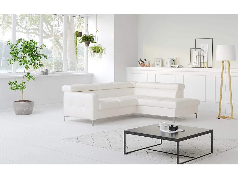 MYHOMELANDO Sammy Echtleder Ecksofa – L-Form mit Schlaffunktion und Bettkasten