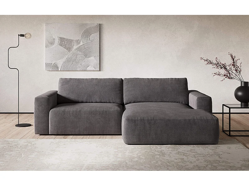 MYHOMELANDO canapé d’angle Lasso – forme en L en velours côtelé, 3 places