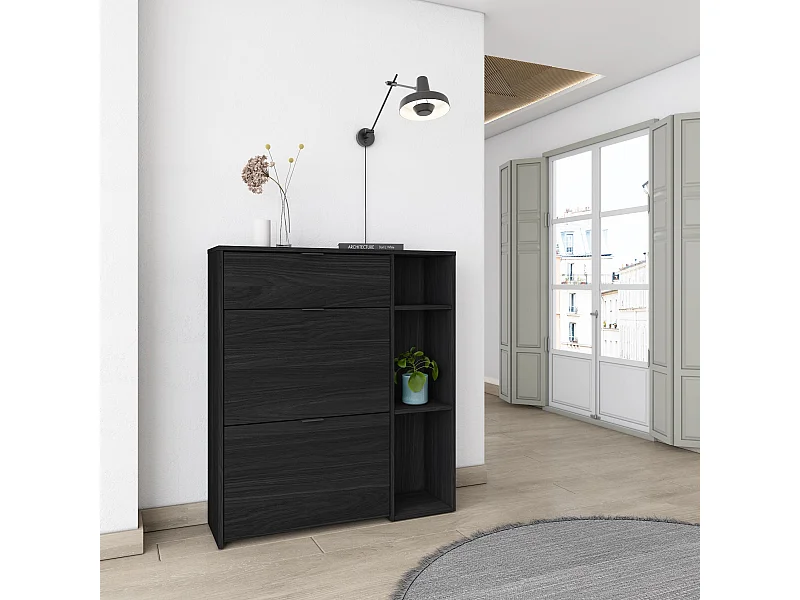 Meuble à Chaussures, 90x102x27 cm, 10 paires de chaussures, Pour Entrée, Noir