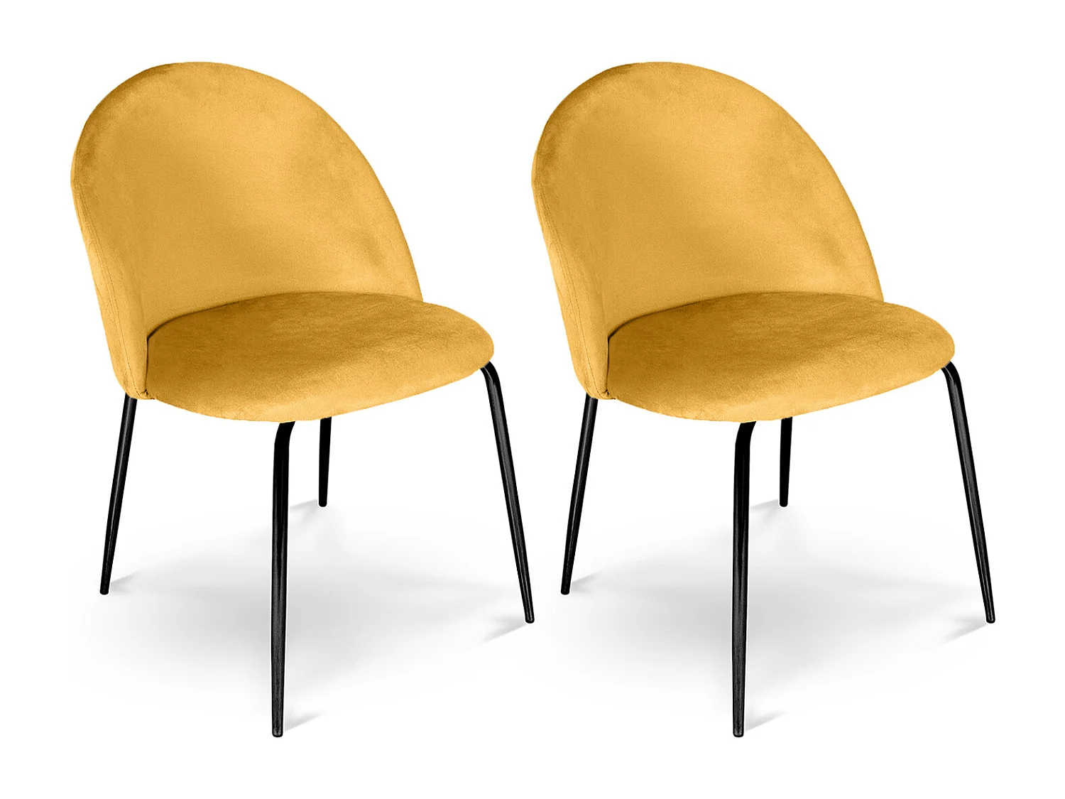 Sedia da pranzo imbottita in velluto giallo senape piede metallo nero – Nicole (2 Pz)