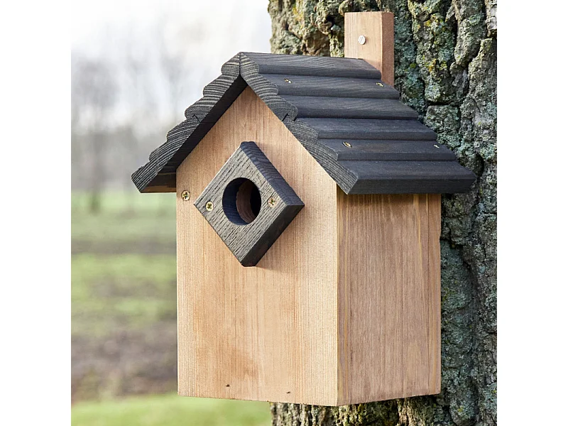 Mangeoire oiseaux extérieur à suspendre pour oiseaux sauvages en bois massif toit gris