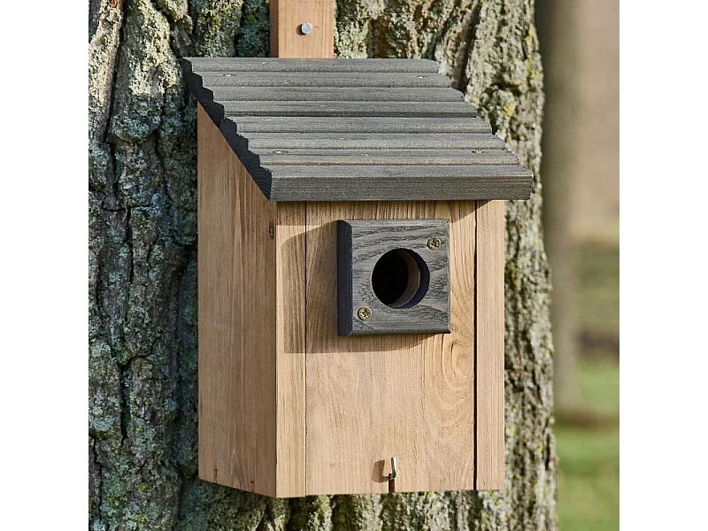 Mangeoire oiseaux extérieur à suspendre pour oiseaux sauvages en bois massif toit pente gris