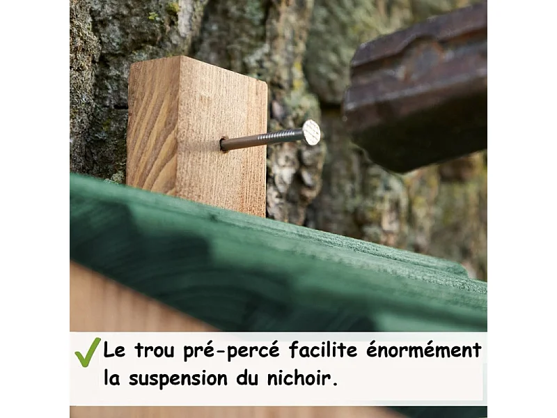 Mangeoire oiseaux extérieur à suspendre pour oiseaux sauvages en bois massif toit pente vert