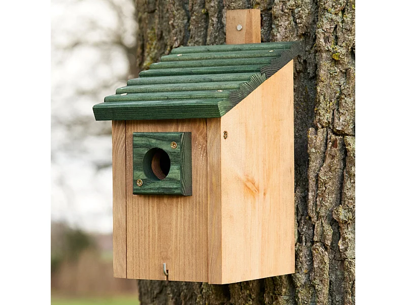 Mangeoire oiseaux extérieur à suspendre pour oiseaux sauvages en bois massif toit pente vert