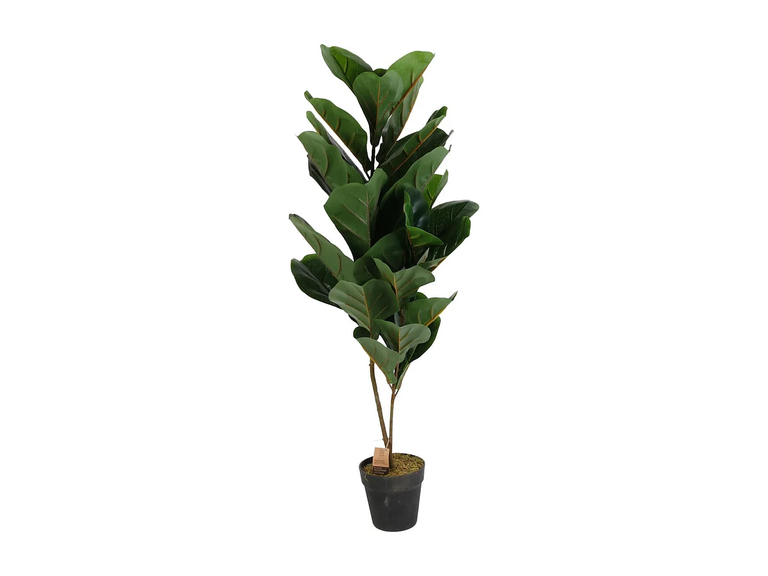 Figuier Lyre Artificiel en Pot 90cm - FICUS