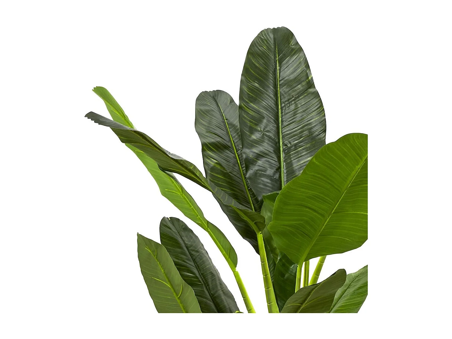 Bananier XXL artificiel en polyéthylène hauteur 160cm