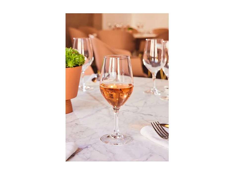 Evidence - 6 verres à pied 27 cl