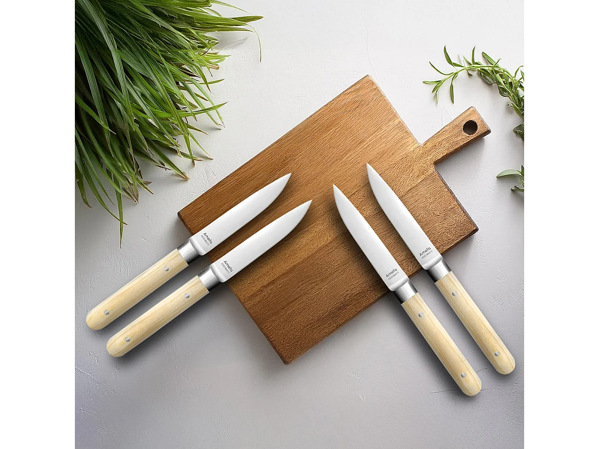Fusion Hêtre - Coffret 4 couteaux steak