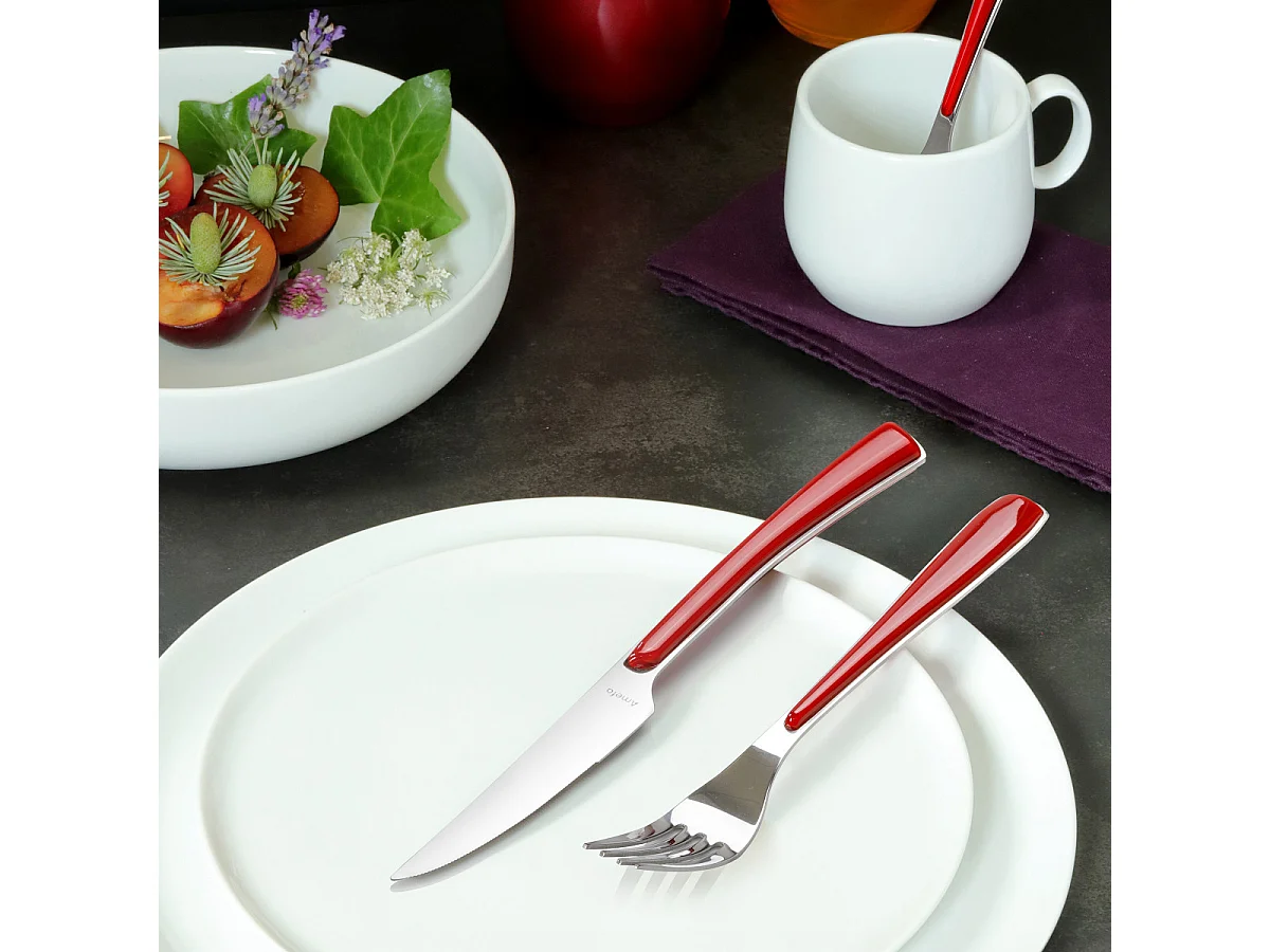 Amefa Ménagère 24 pièces rouge - 2224RDAF11C71