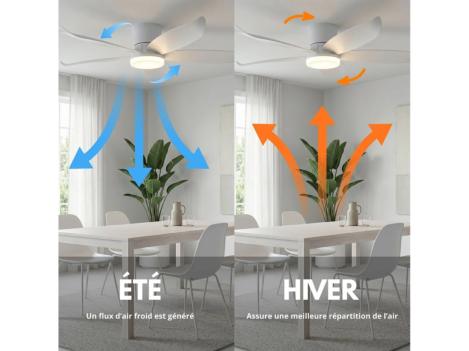 Ventilateur Plafond LED CALYRO D107CM Blanc