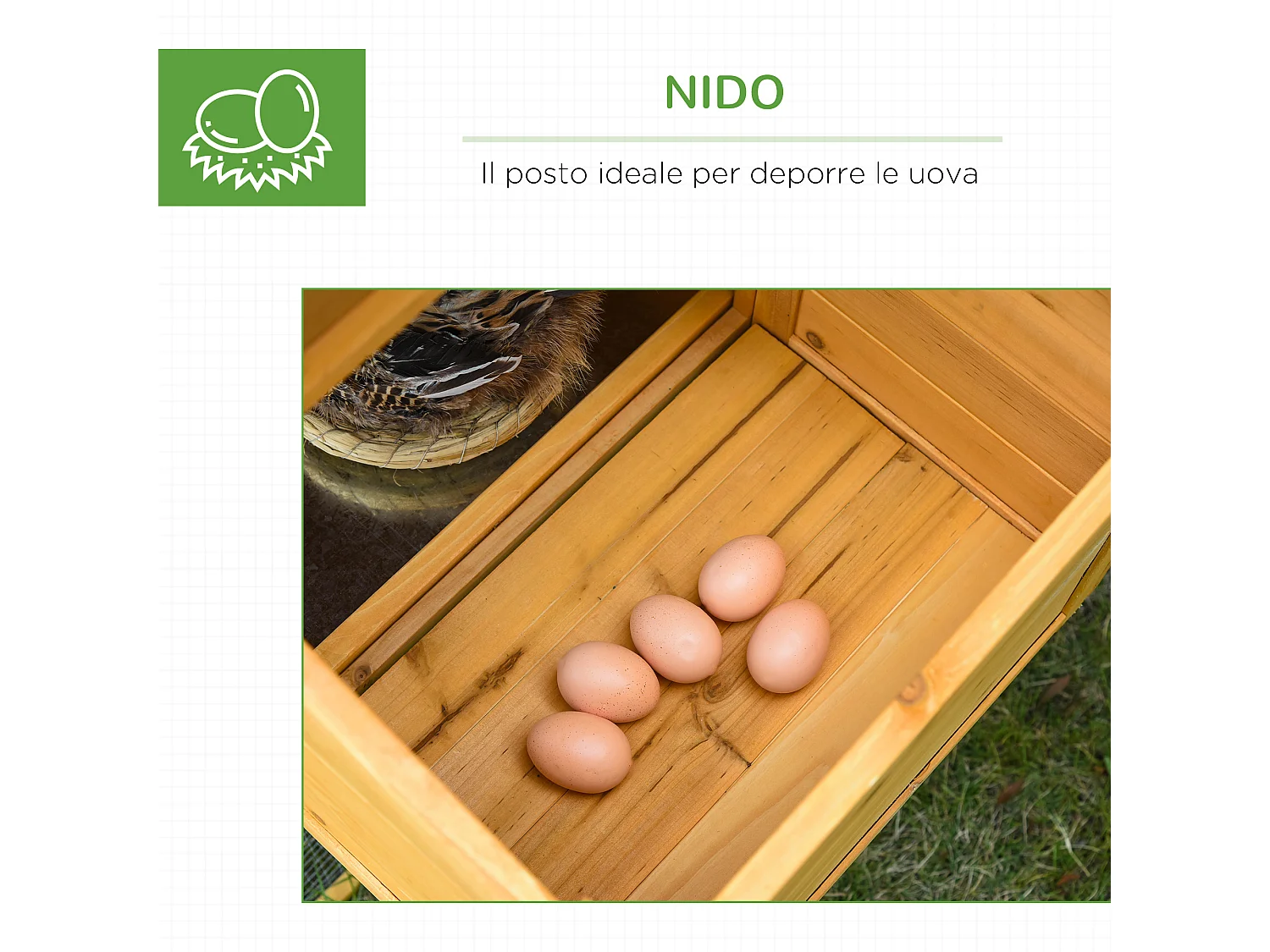 Pollaio in legno casetta per galline e area aperta 168x75x103cm