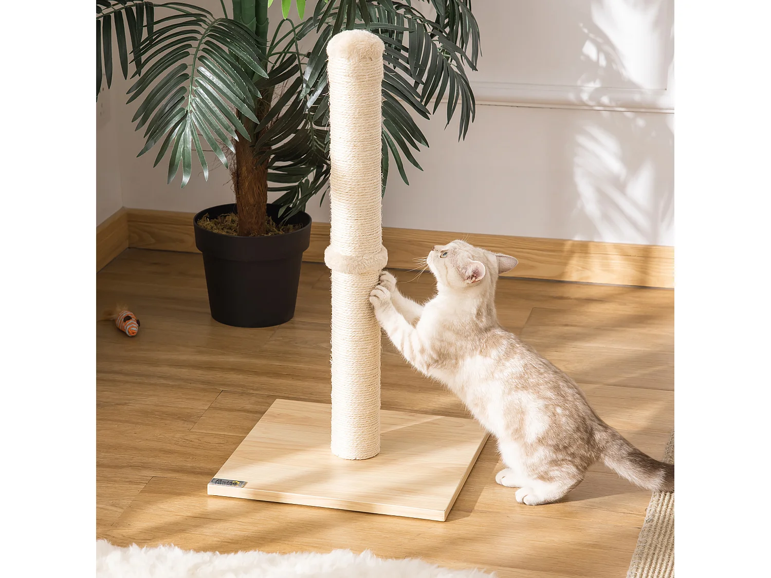 Albero tiragraffi per gatti alto 60 cm con palo in sisal beige