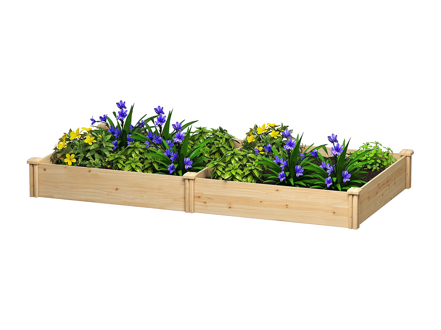 Orto in cassetta in legno con divisorio centrale e fondo aperto