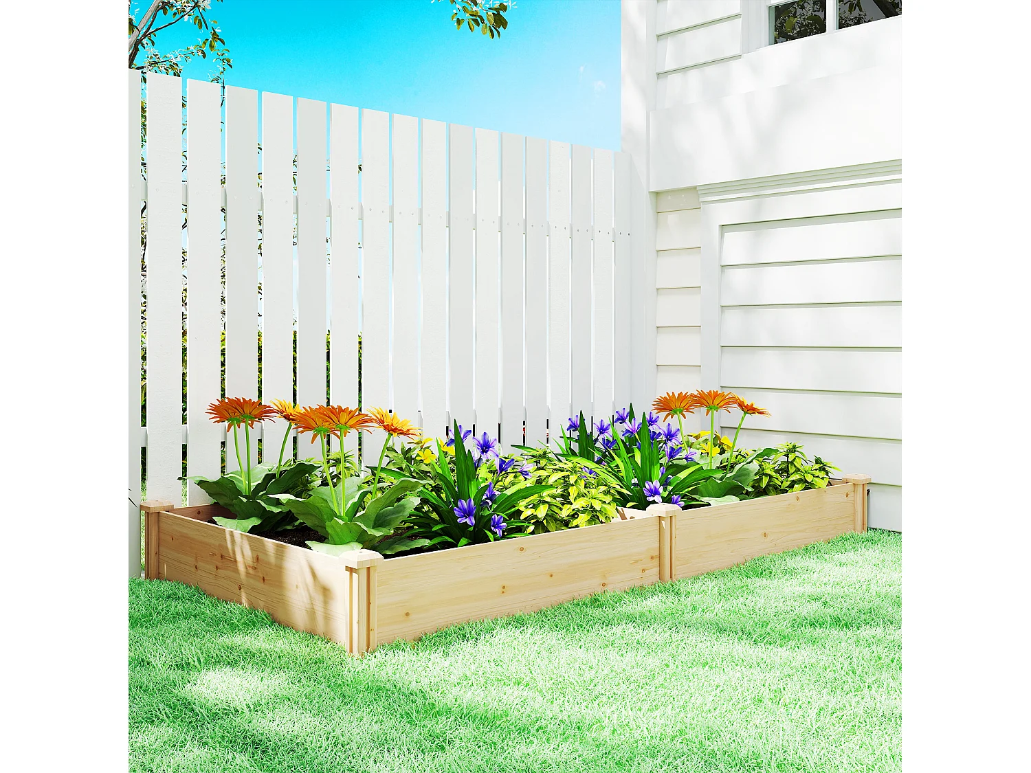 Orto in cassetta in legno con divisorio centrale e fondo aperto
