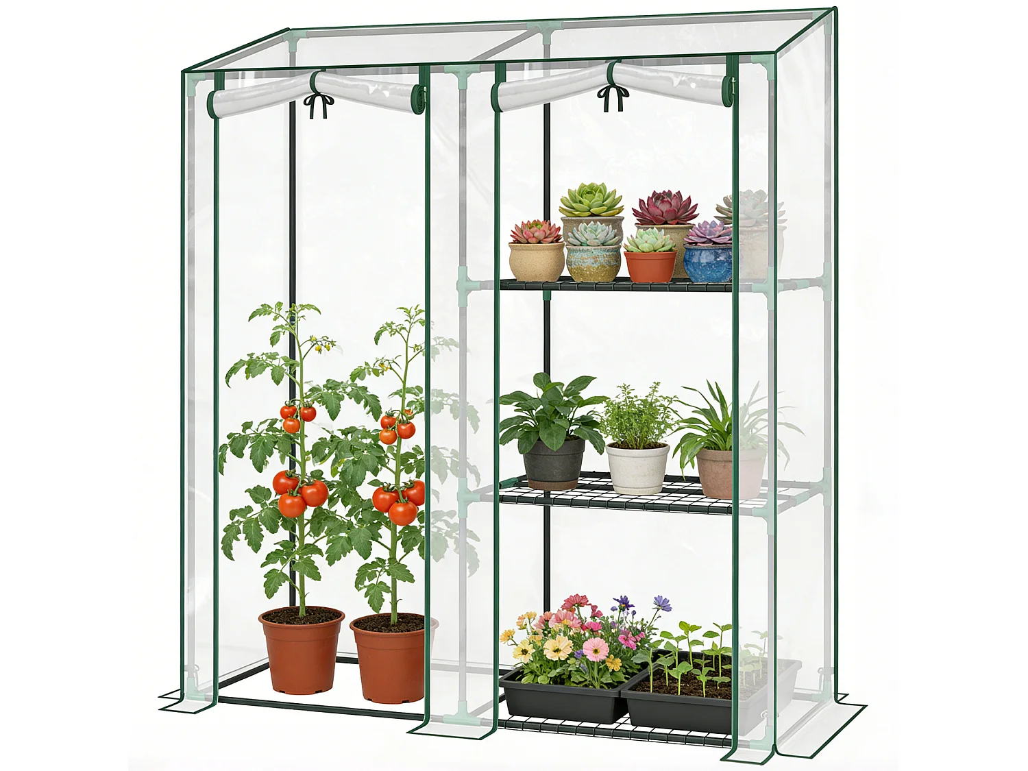 Serra verticale a 2 sezioni con 3 ripiani 143x45x151 cm