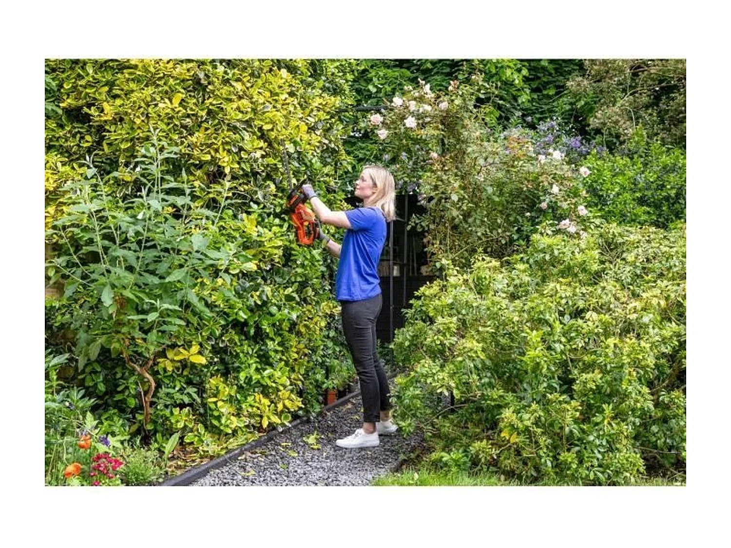 BLACK + DECKER Taille-haies sans fil 45 cm