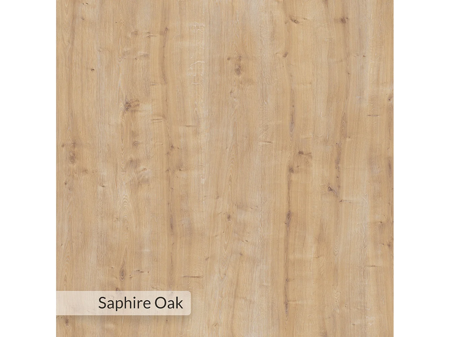 Holzschreibtisch "inna" 100 x 60 x 75 cm - Saphir-Eiche