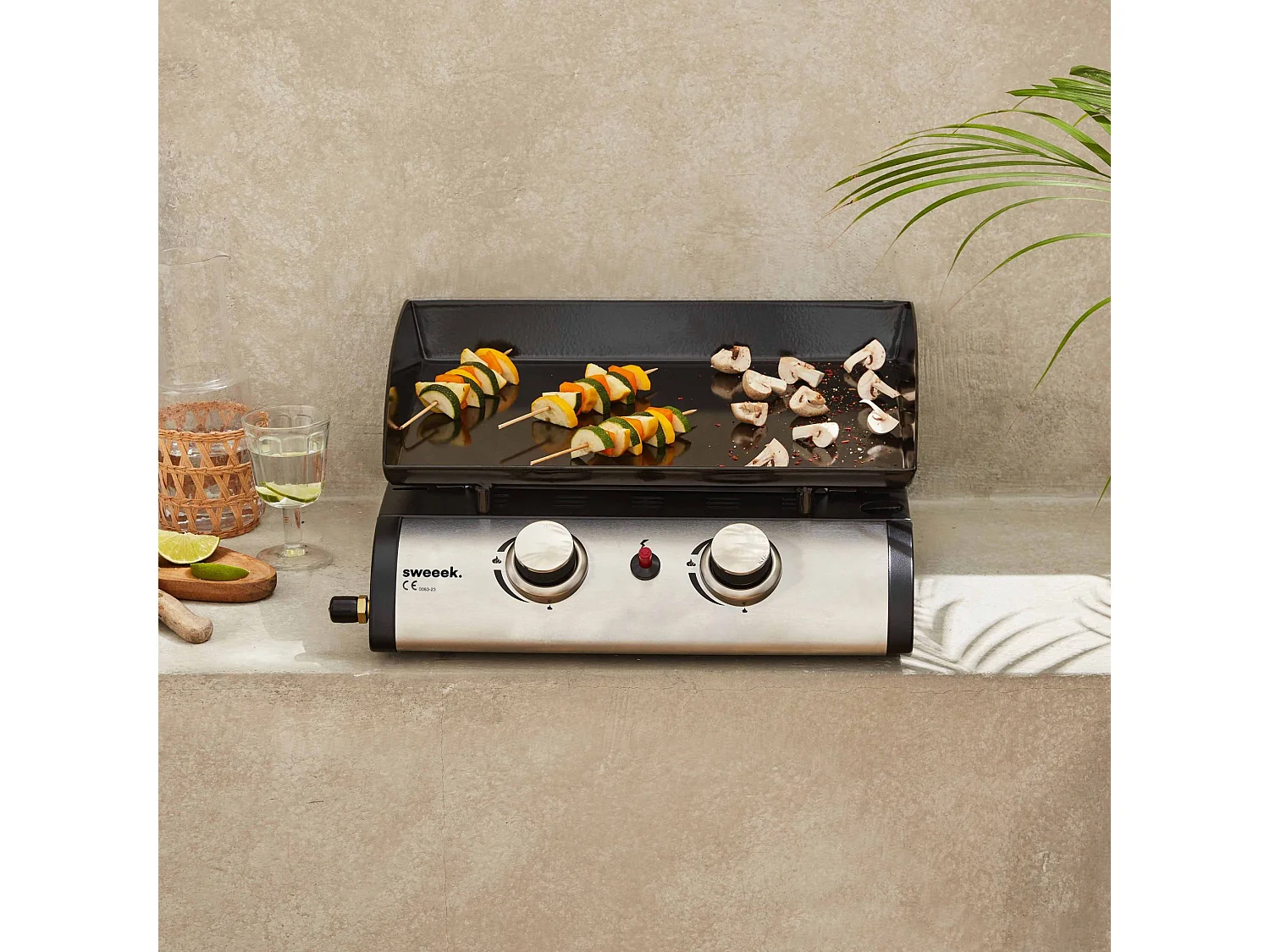 Plancha de gas con 2 quemadores de acero inoxidable, 5kw negro