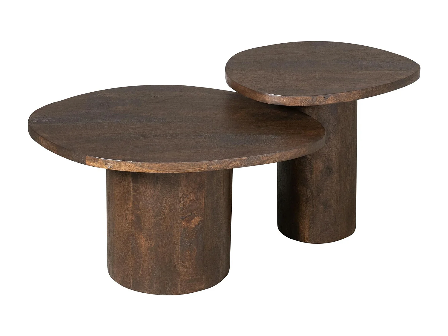 Table basse design organique en bois foncé (lot de 2) ALMA