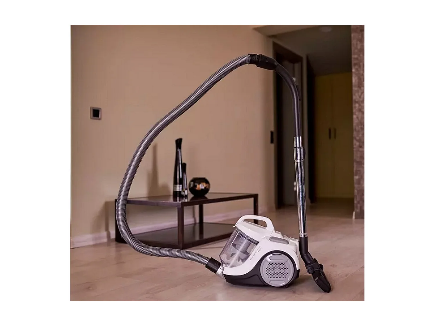 Rowenta Aspirateur sans sac 77db blanc/gris - RO2957EA