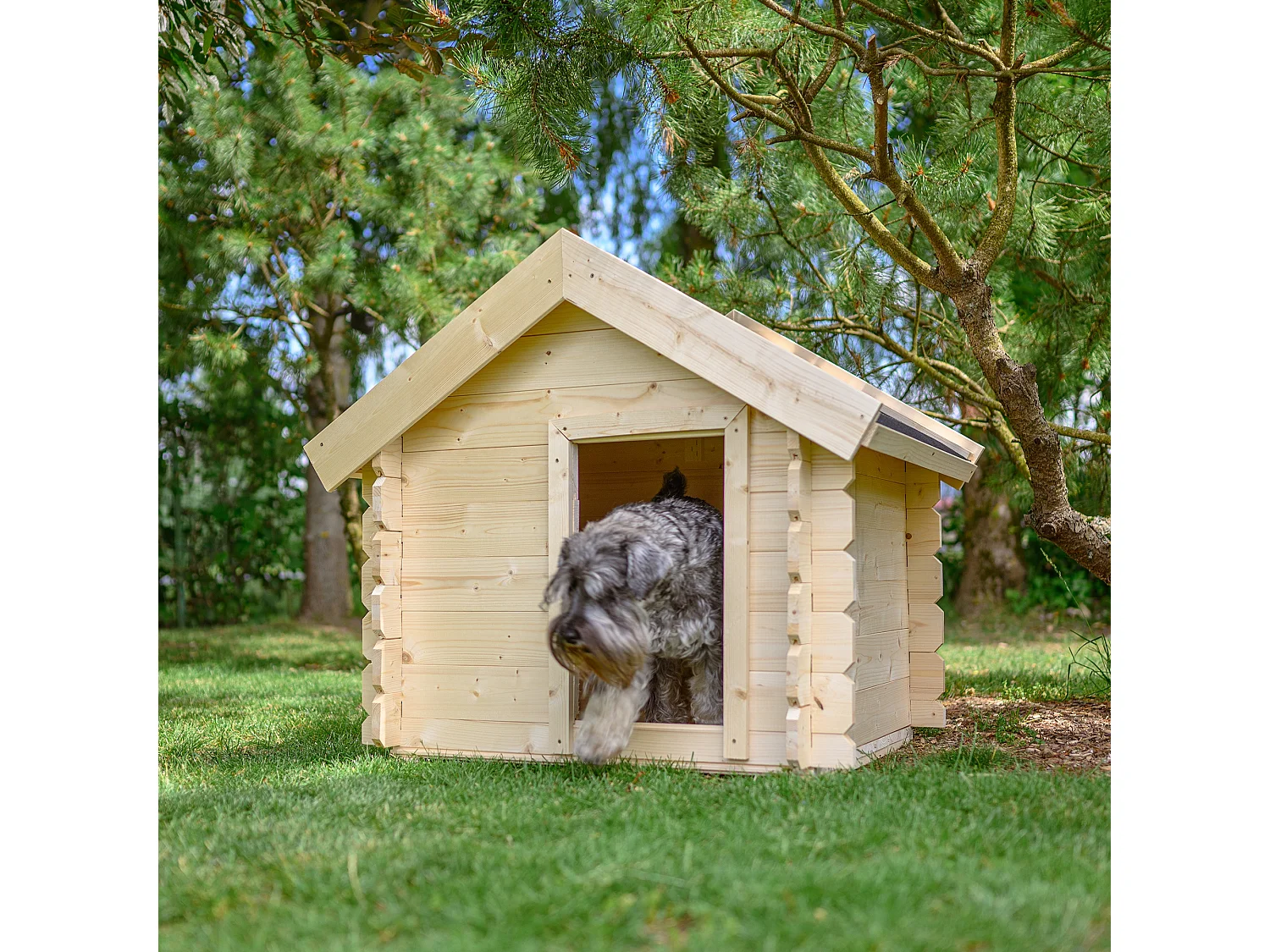 Niche pour chien exterieur en bois - 76 x 99 x H80 cm - M401-1