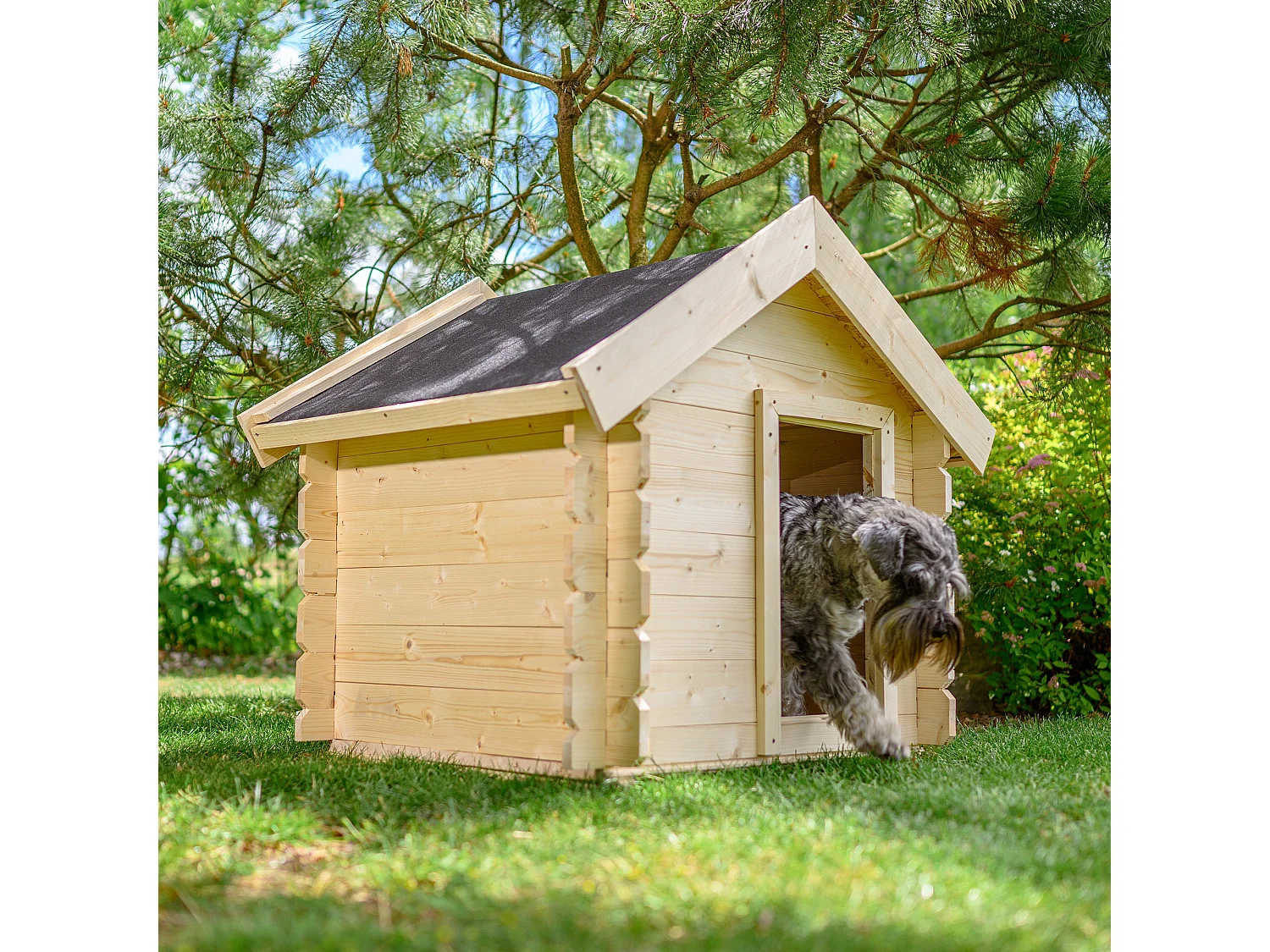 Niche pour chien exterieur en bois - 76 x 99 x H80 cm - M401-1