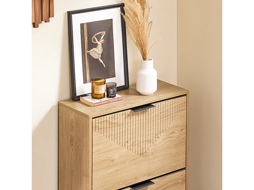 SoBuy Skåp för skor, 2 dörrar 60x24x83cm Nordisk FSR200-II-N