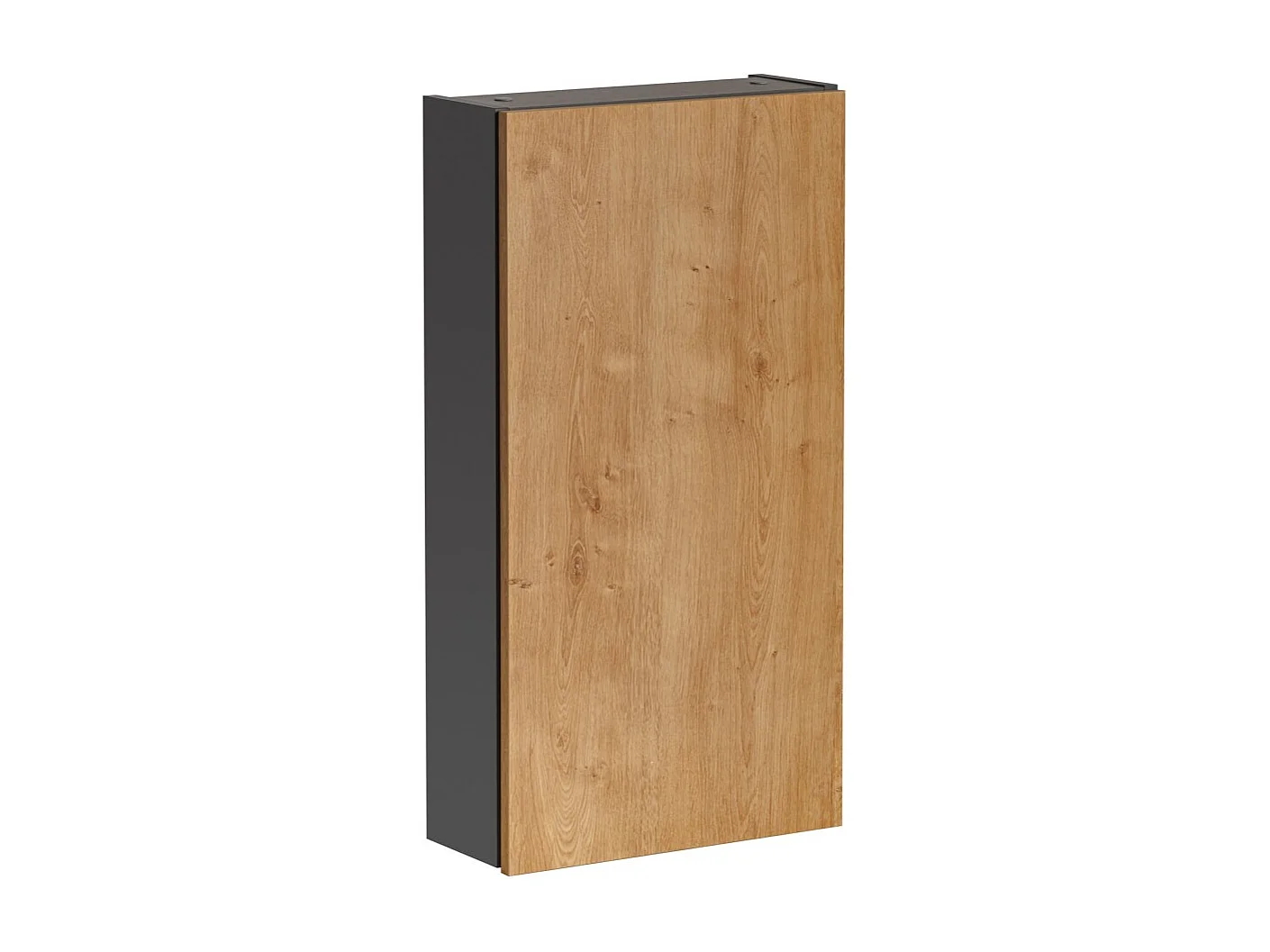 Colonne de rangement TAMO – 1 porte – Coloris gris anthracite – L40 × P16 × H75 cm – À suspendre