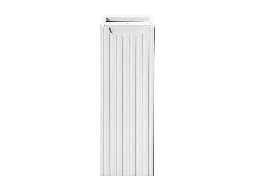 Meuble de rangement de salle de bain VANO – 1 porte – Blanc alpin – L20 × P18 × H57 cm – À suspendre