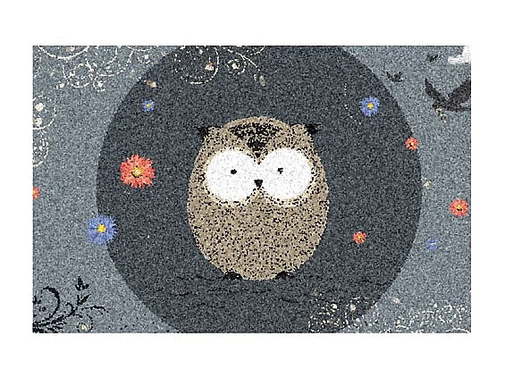 Tapis Dallas Chouette Gris 40x60 cm Antidérapant Ultra Absorbant Intérieur/Extérieur