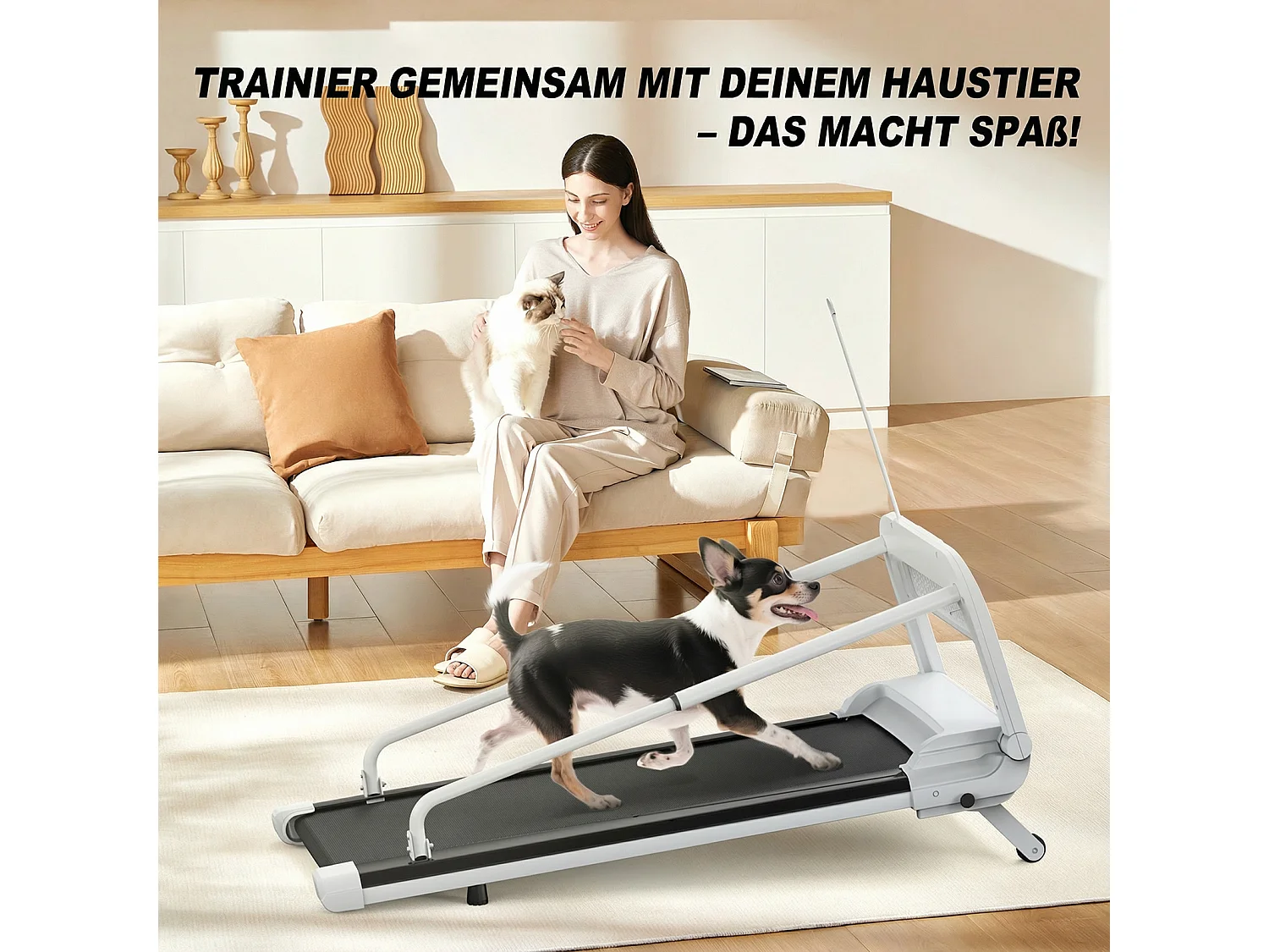 Slimme en stille loopband voor huisdieren - Instelbare snelheid - Zwart-wit staal