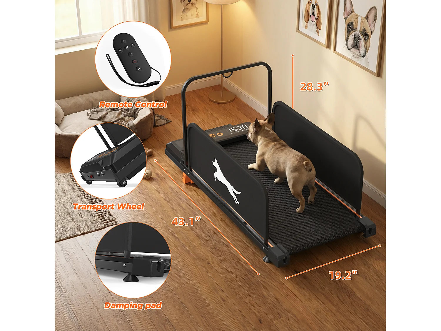 Tapis de course 2-en-1 pour chien en acier noir - Faible bruit