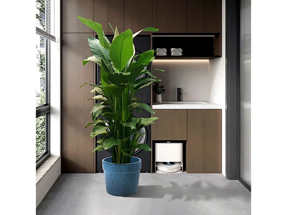 Set van 3 antieke blauwe keramische bloempotten Ø 38,1/30,5/22,7 cm