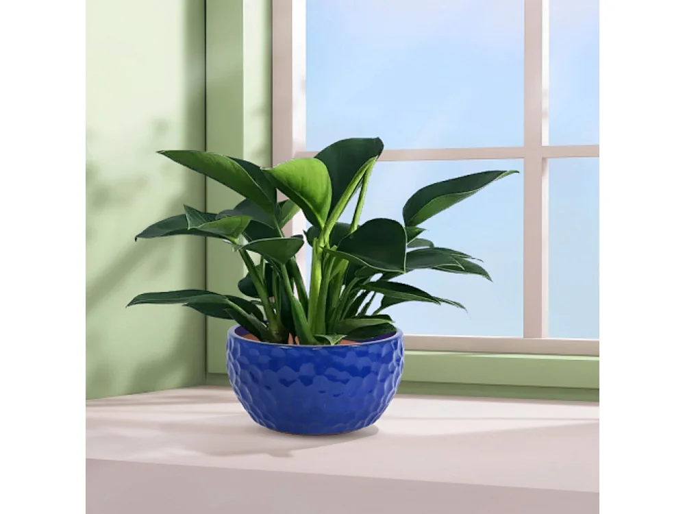 Ensemble de 3 pots de fleur plantation en céramique faits main bleu