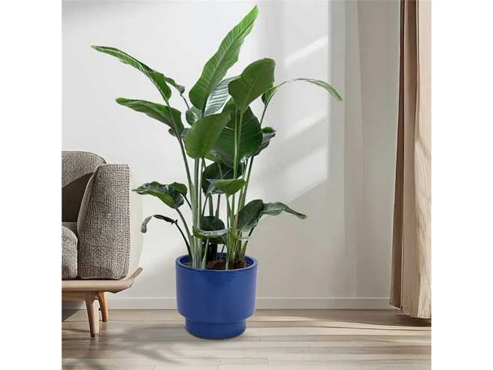 Ensemble de 3 pots de fleur plantation en céramique faits main Bleu saphir
