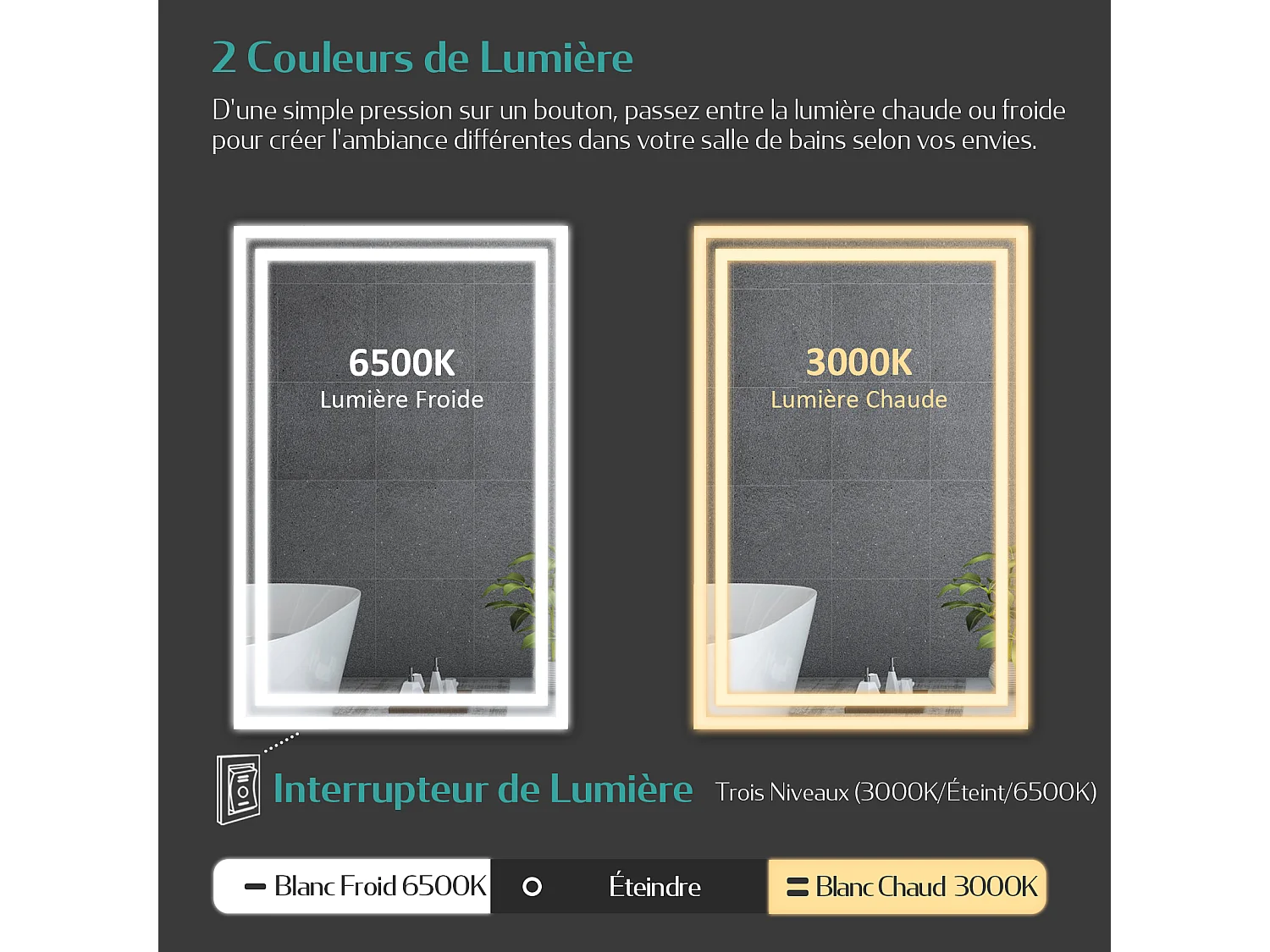 EMKE Badkamerspiegel LED 100x60cm anti-condens dubbele verlichting