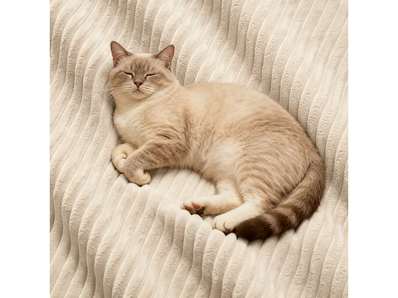 Canapé d'angle modulable, avec pouf et coussins, en velours côtelé, Beige, 208x177x69cm