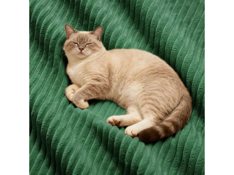 Canapé d'angle gauche modulable en velours côtelé, avec 4 coussins, 177x177x69cm, Vert