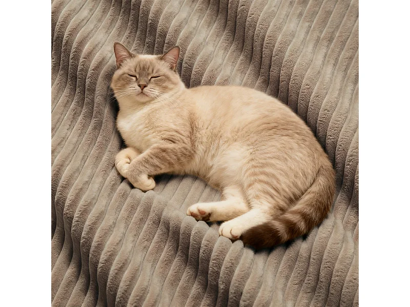 Canapé d'angle modulable, avec pouf et coussins, en velours côtelé, Marron, 208x177x69cm