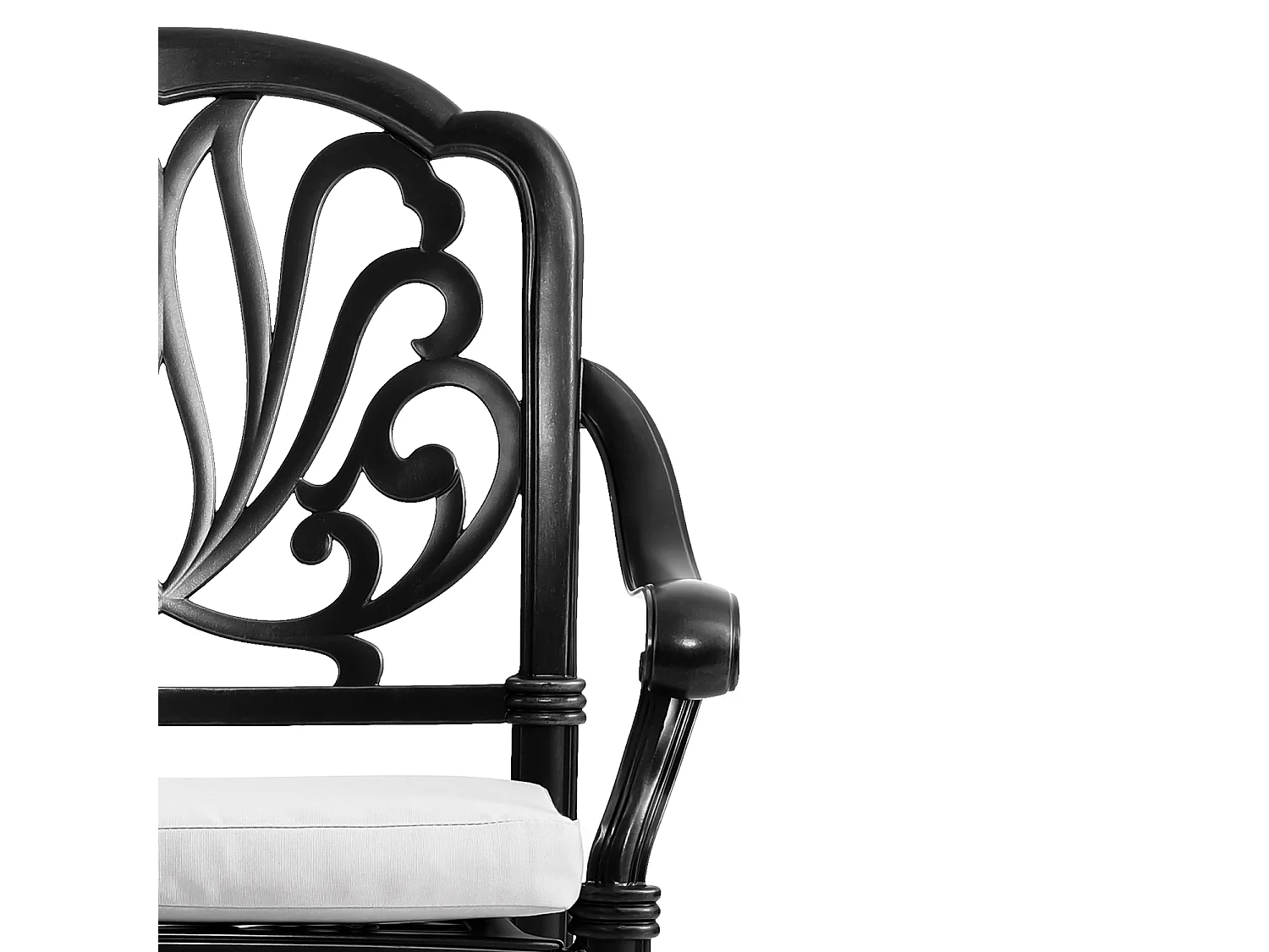 Set of 2 Black Cast Aluminum Garden Chairs with Floral Back