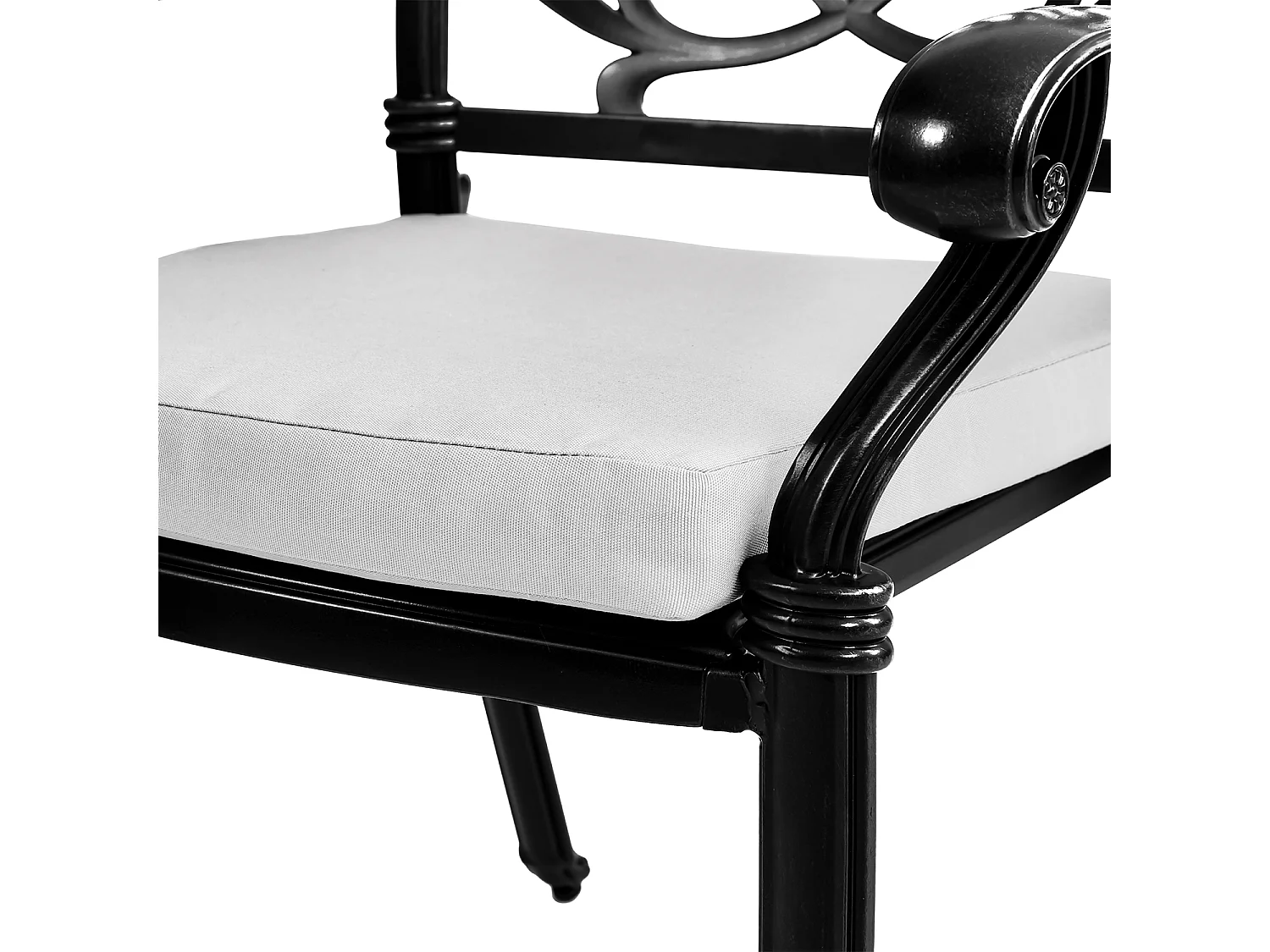 Set of 2 Black Cast Aluminum Garden Chairs with Floral Back