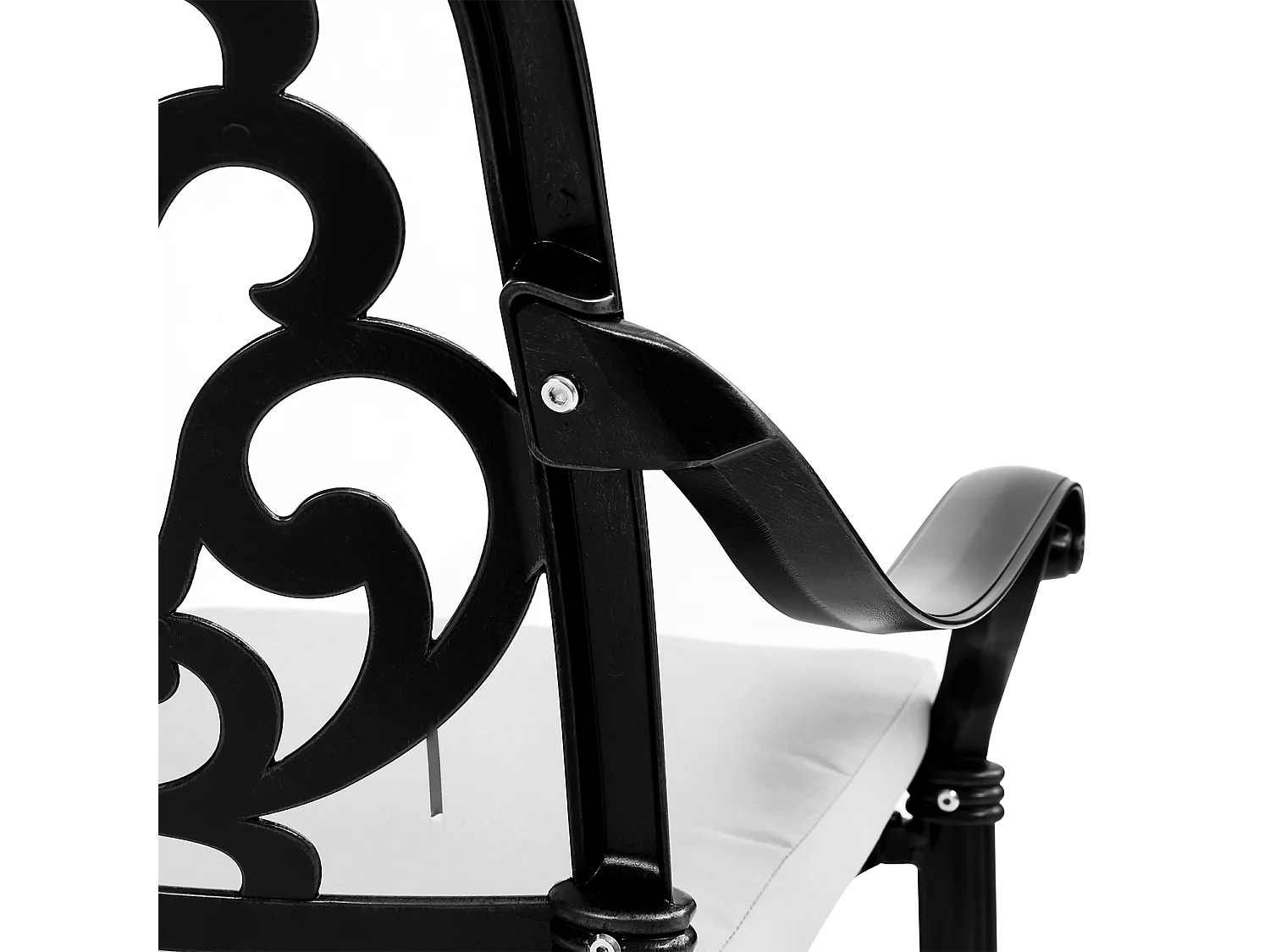 Set of 2 Black Cast Aluminum Garden Chairs with Floral Back