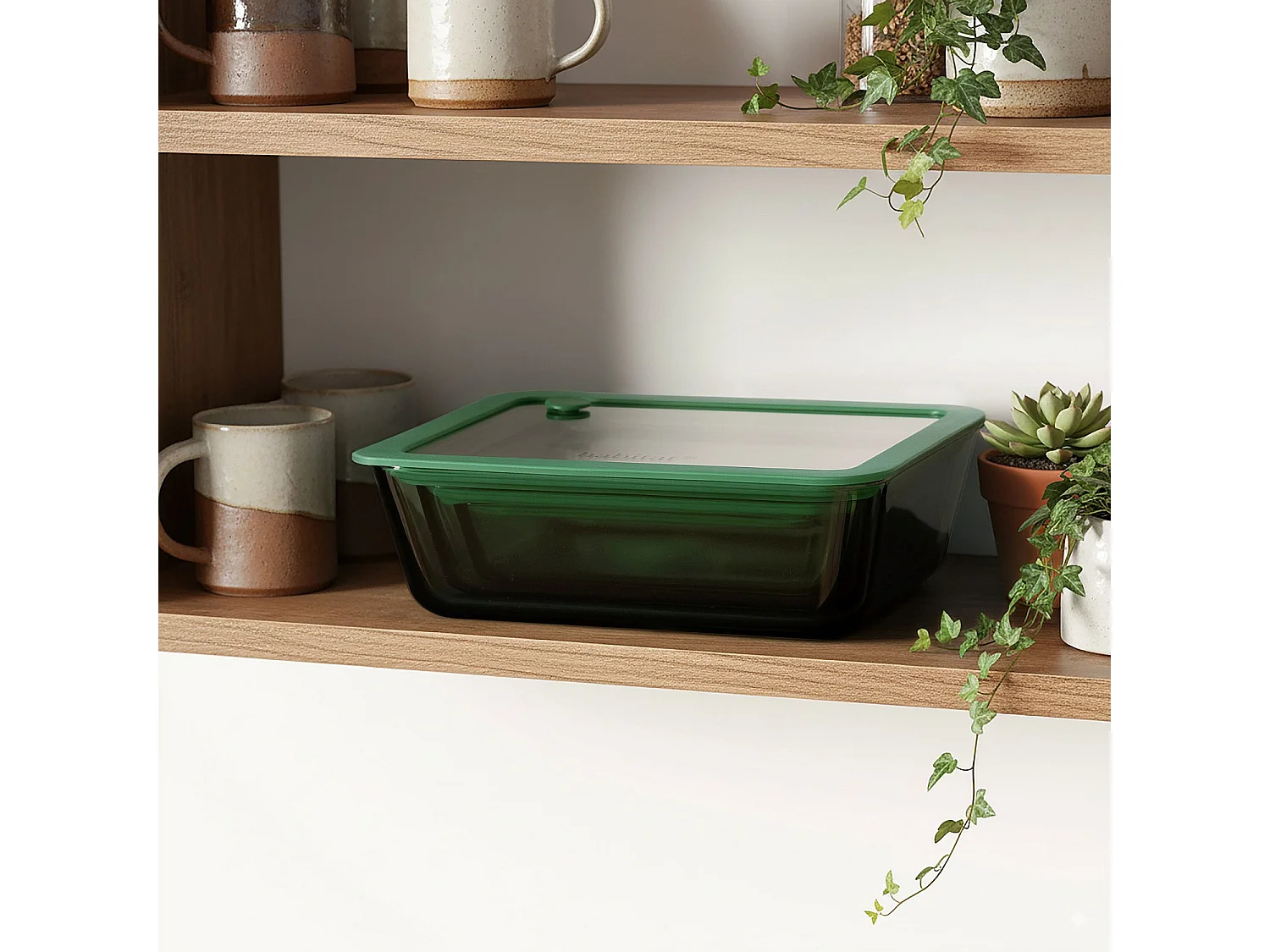 Habitat - Lot de 3 boîtes de conservation rectangulaires en verre avec couvercle transparent et valve - Vert - Aloe