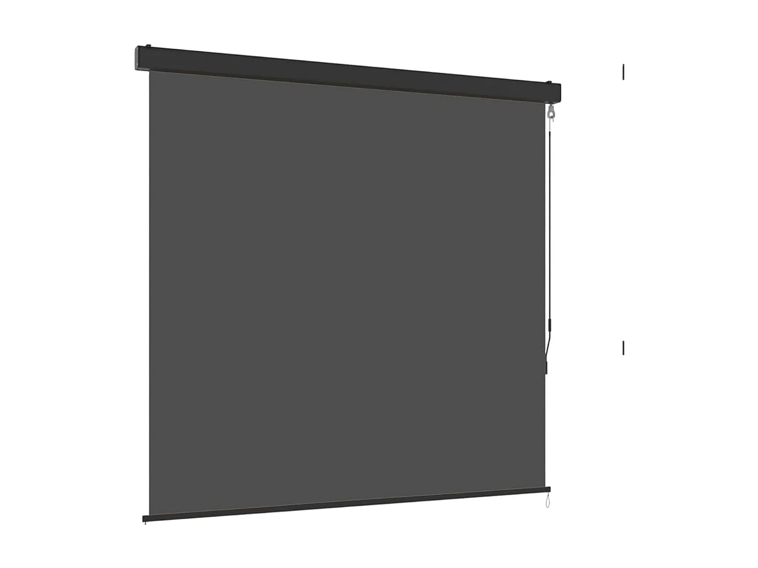 YODOLLA Toldo Vertical 140x250cm, Extensible Con Manivela, Protección Solar Resistente A La Intemperie Para Jardín Y Balcón, Gris